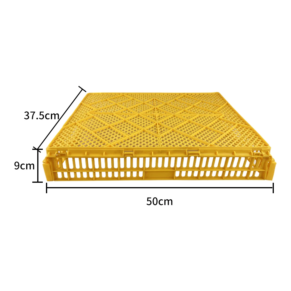New design plastic hatching egg crate Stackable folding Poultry Hatching Egg Tray box for breeder farm