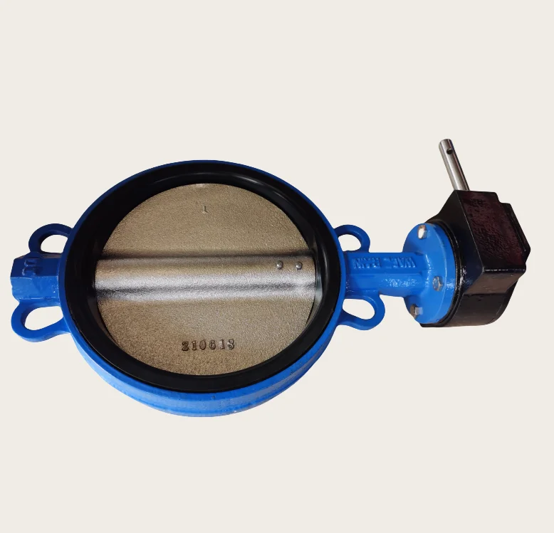DN250 Ductile Iron Ggg50 Wafer Type Butterfly Valve With Worm Gear Operator Connection to Pn10/Pn16/Cl125/Cl150/JIS 10K