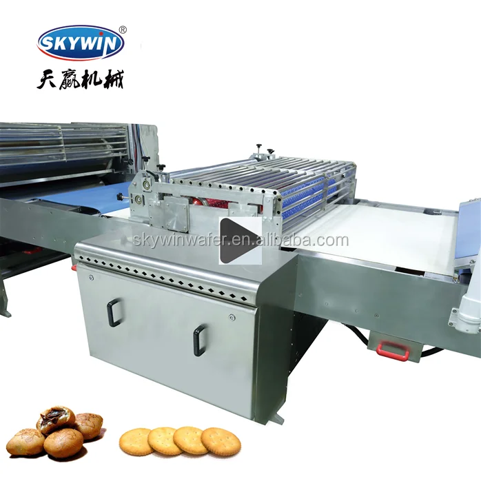 SKYWIN group cocoa biscuit Gas tunnel oven 400-1200mm bakery equipment bake biscuit cookie production line for food industry