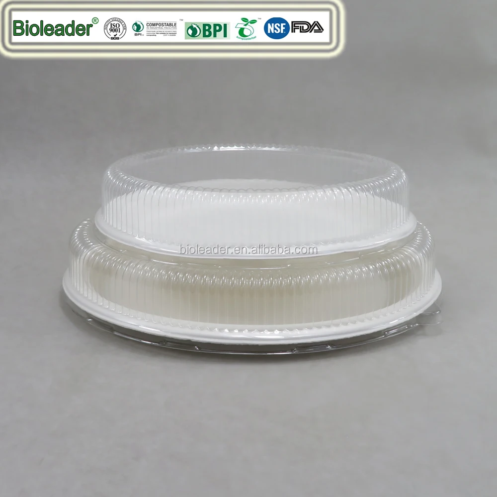 Eco-Friendly Disposable Oval Party Plate Sugarcane Bagasse Dish for Home Dinners Restaurant Use Patterned like Plants