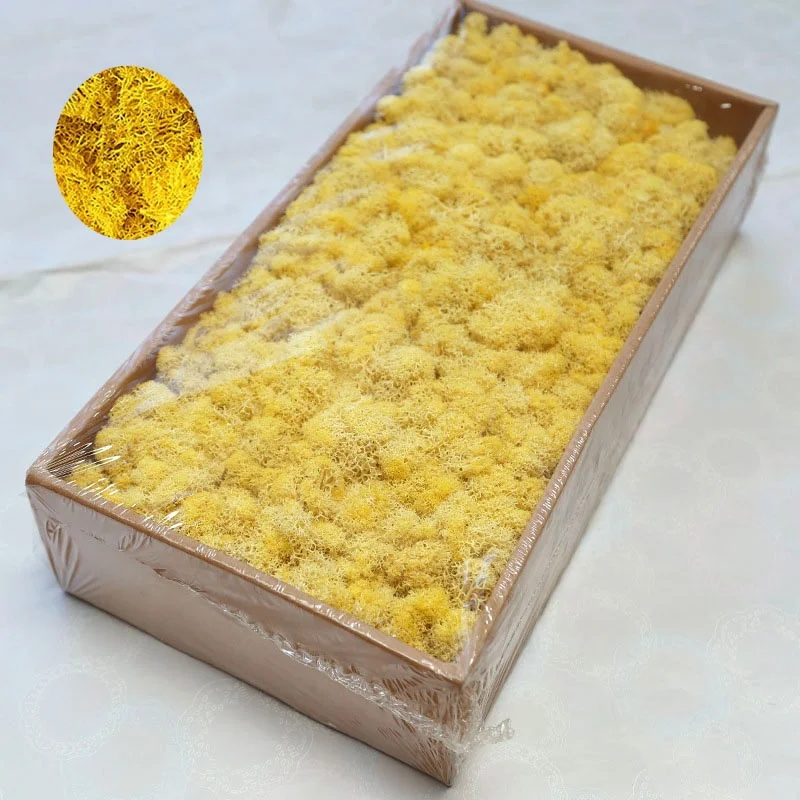 Yunnan Wholesale Colorful Preserved Moss 500g/box for Home Garden Wall Decoration Preserved Flowers and Plants