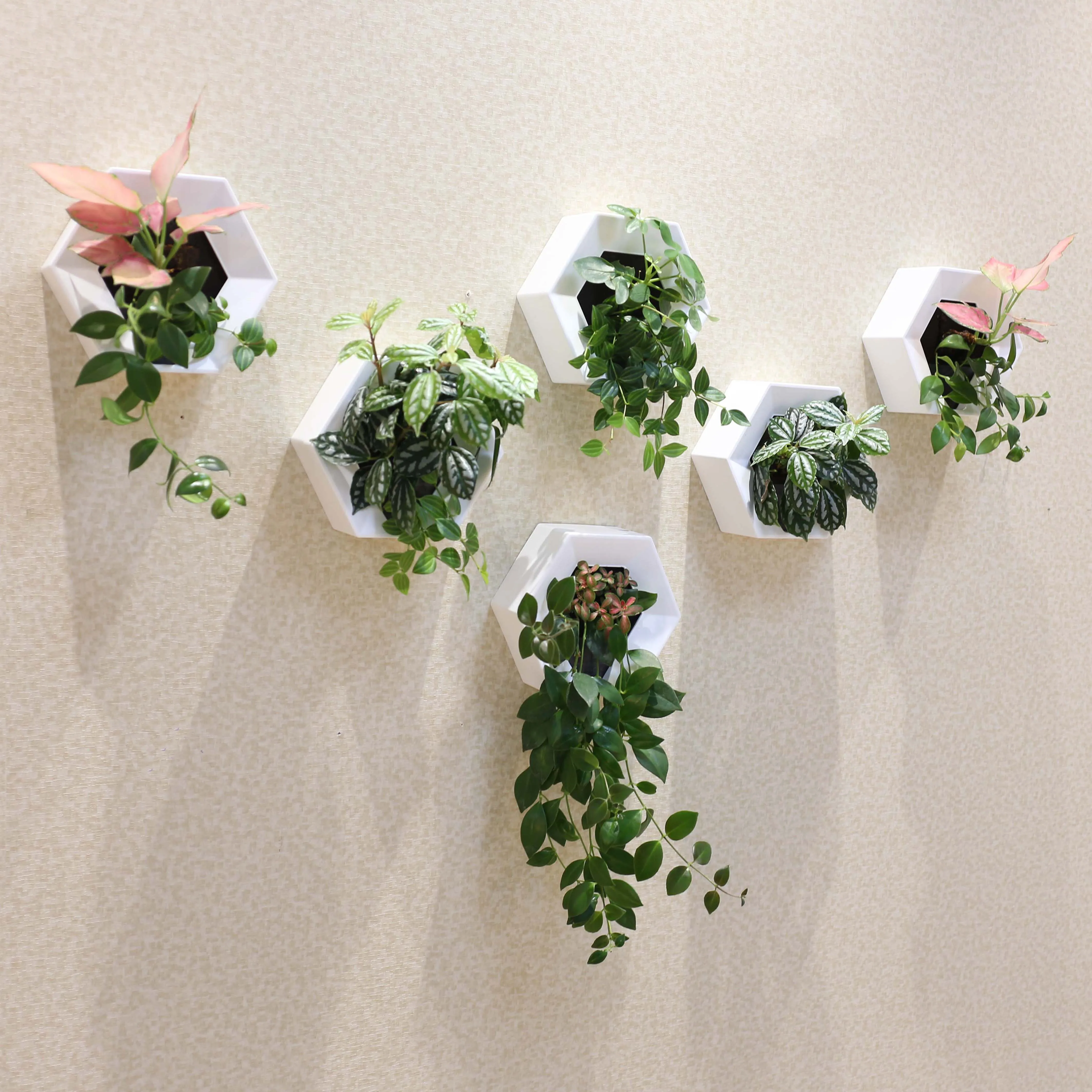 2020 New Indoor Eco-friendly Self Watering Plastic Wall Mounted Decor Flower Pot With Planting Sponge
