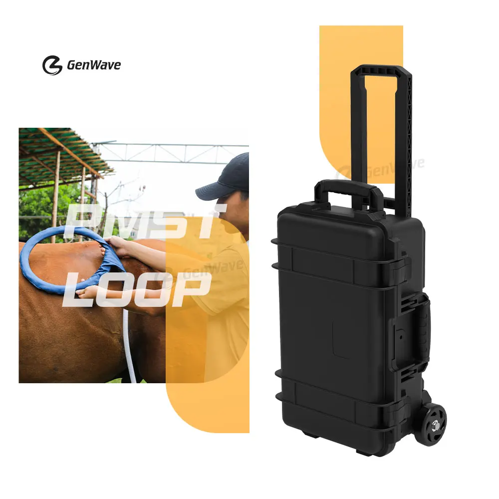 Портативная физиотерапевтическая машина PMST LOOP для лечения боли