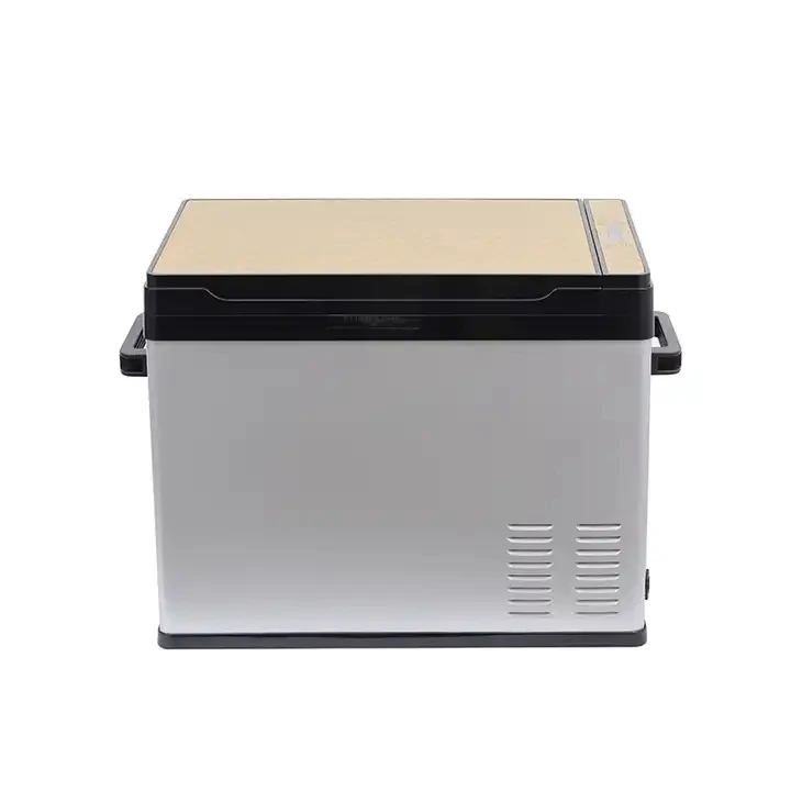 Wholesale Cheap Price  Portable Fridge 25L 12V 24V Charger Fridge Car Refrigerator For Car