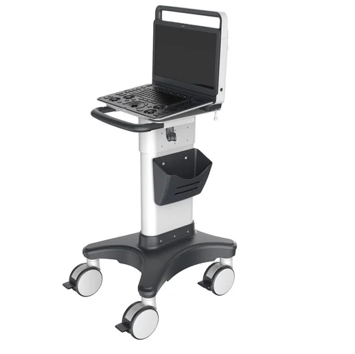 Портативный черно-белый ультразвуковой аппарат Sonoscape 2D E1, экран 15,6 дюйма, жесткий диск 500 ГБ, Wi-Fi доступен