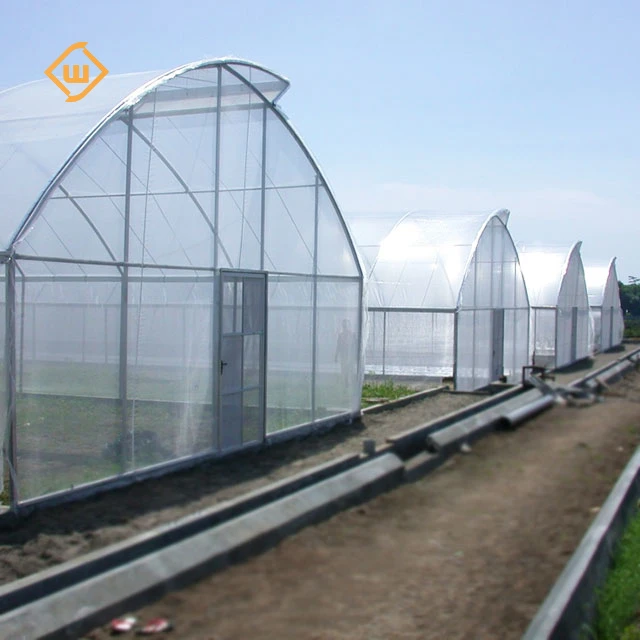 Best-selling galvanized steel structure ventilation system single-span greenhouse for growing tomatoes