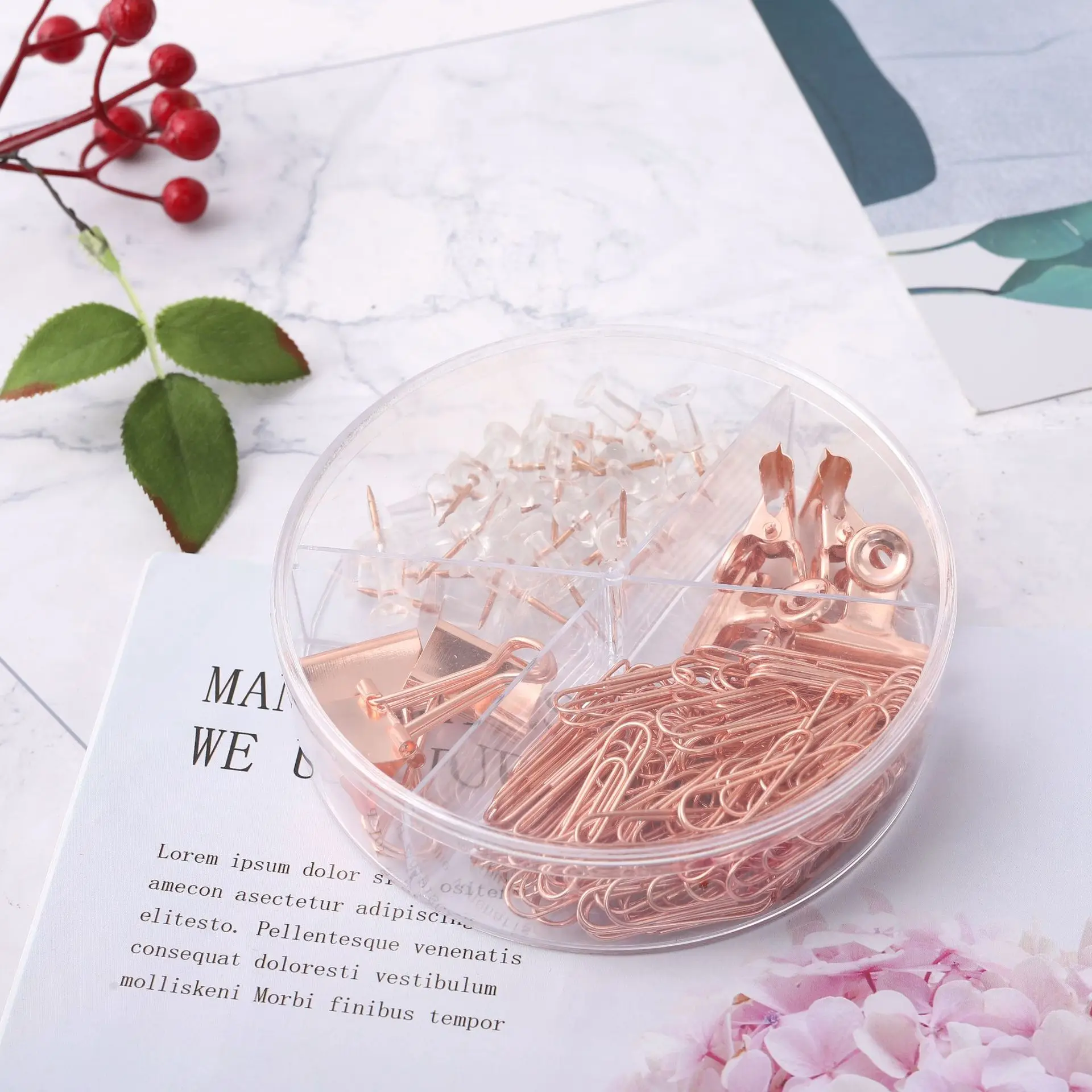 Multi-functional Student Office Stationery Wholesale Factory Direct Sales Combination Long Tail Clip Paper Clip Pushpin Set