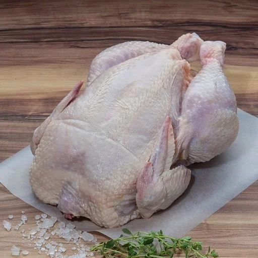 HALAL Frozen Whole Ducks at wholesales prices