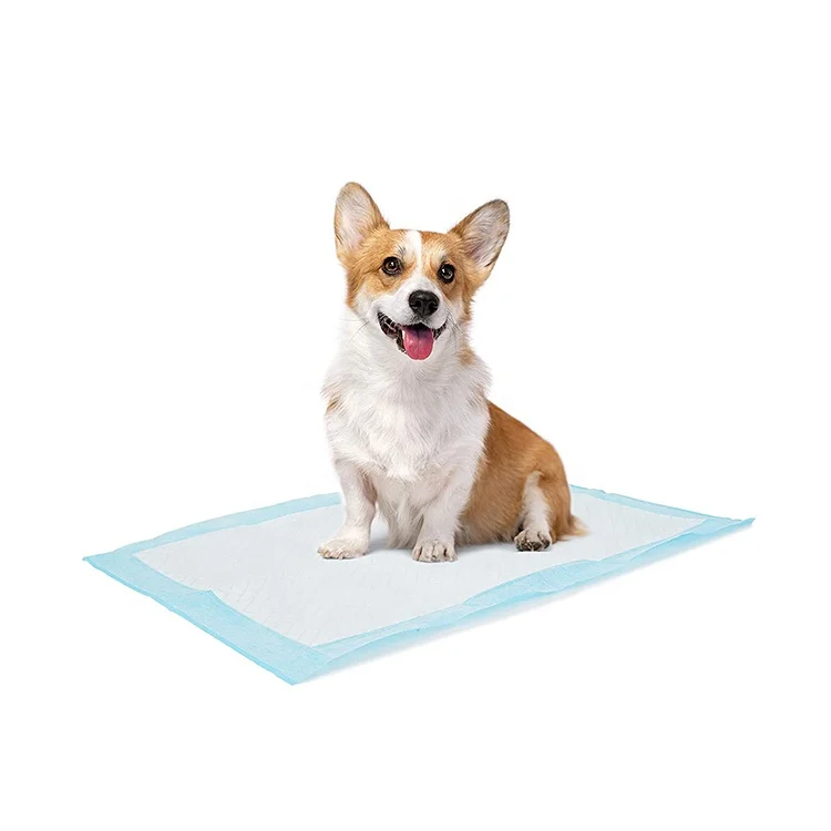 WOLIZE Manufacturers Direct Wholesale Pet Diaper Deodorant Training Dog Diapers Disposable Pad For Dog
