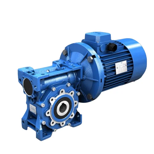 RV RW B14 flange RW40 worm gearbox vertical worm gear reducer servo motor