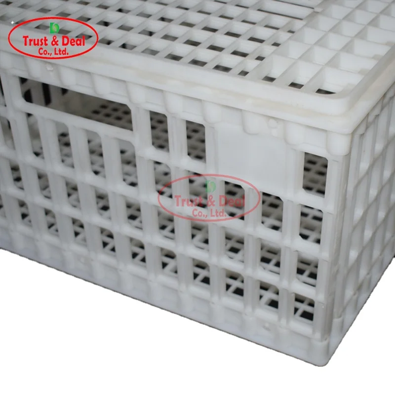 best selling chicken/broiler plastic transportation crate/cage/box