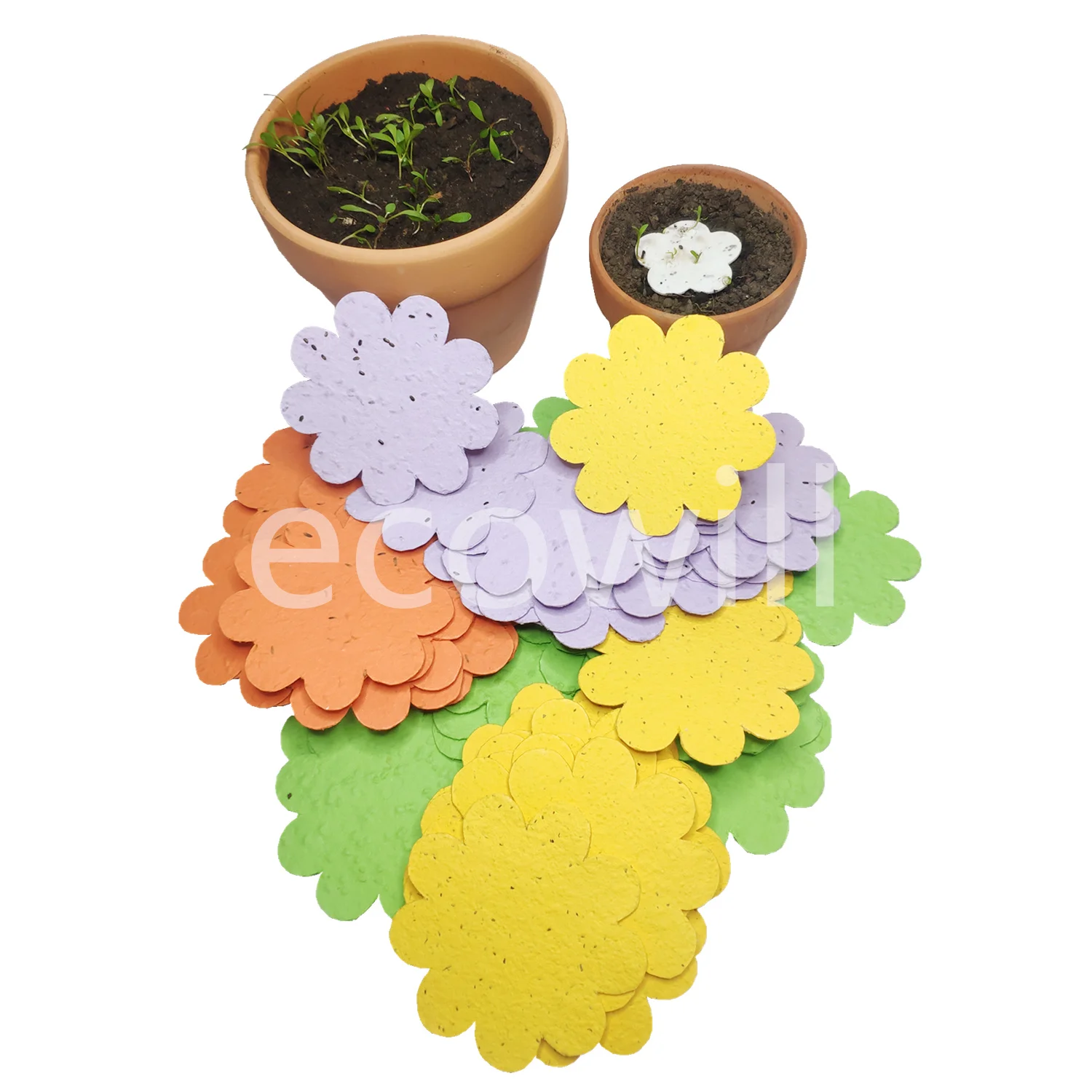 Plantable Seed Paper Shape Confetti  with Botantical Verb Veggie Flower Seeds