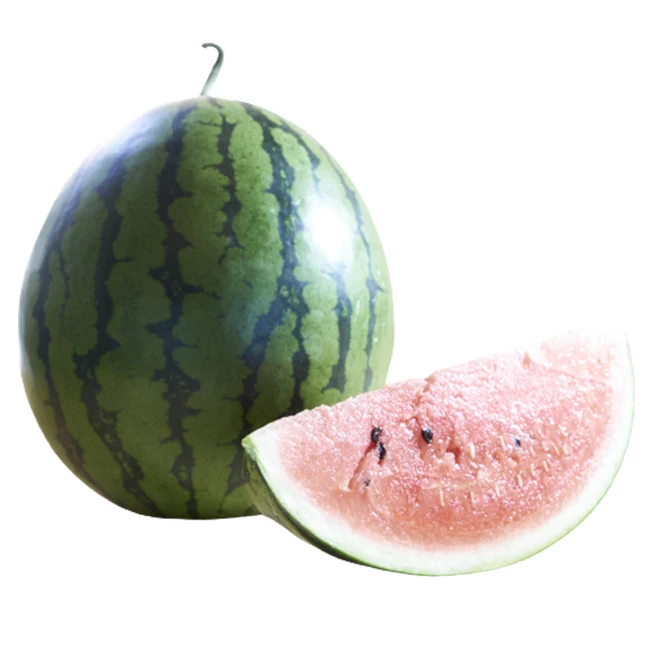 Разумная цена импорта Зеленый японский фруктовый арбуз