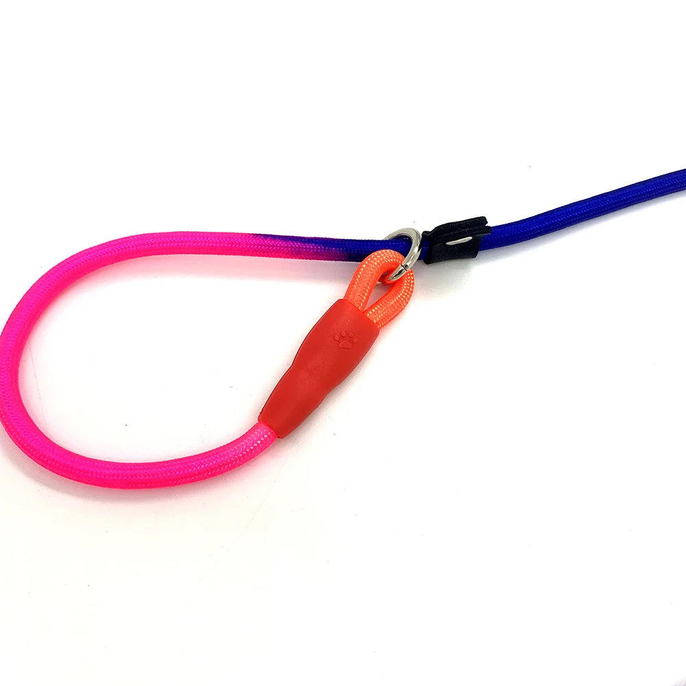 Hanyang OEM Custom rainbow gradient multifunction Nylon small pet dog leash rope for big dog