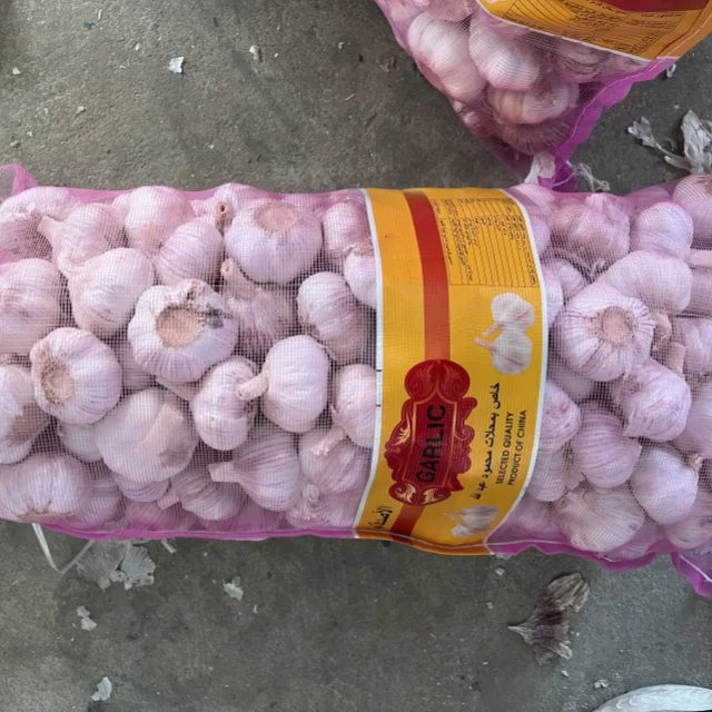 Garlic Price Per Ton Fresh Garlic New Crop Garlic Wholesale From China  6.0cm Export Egypt