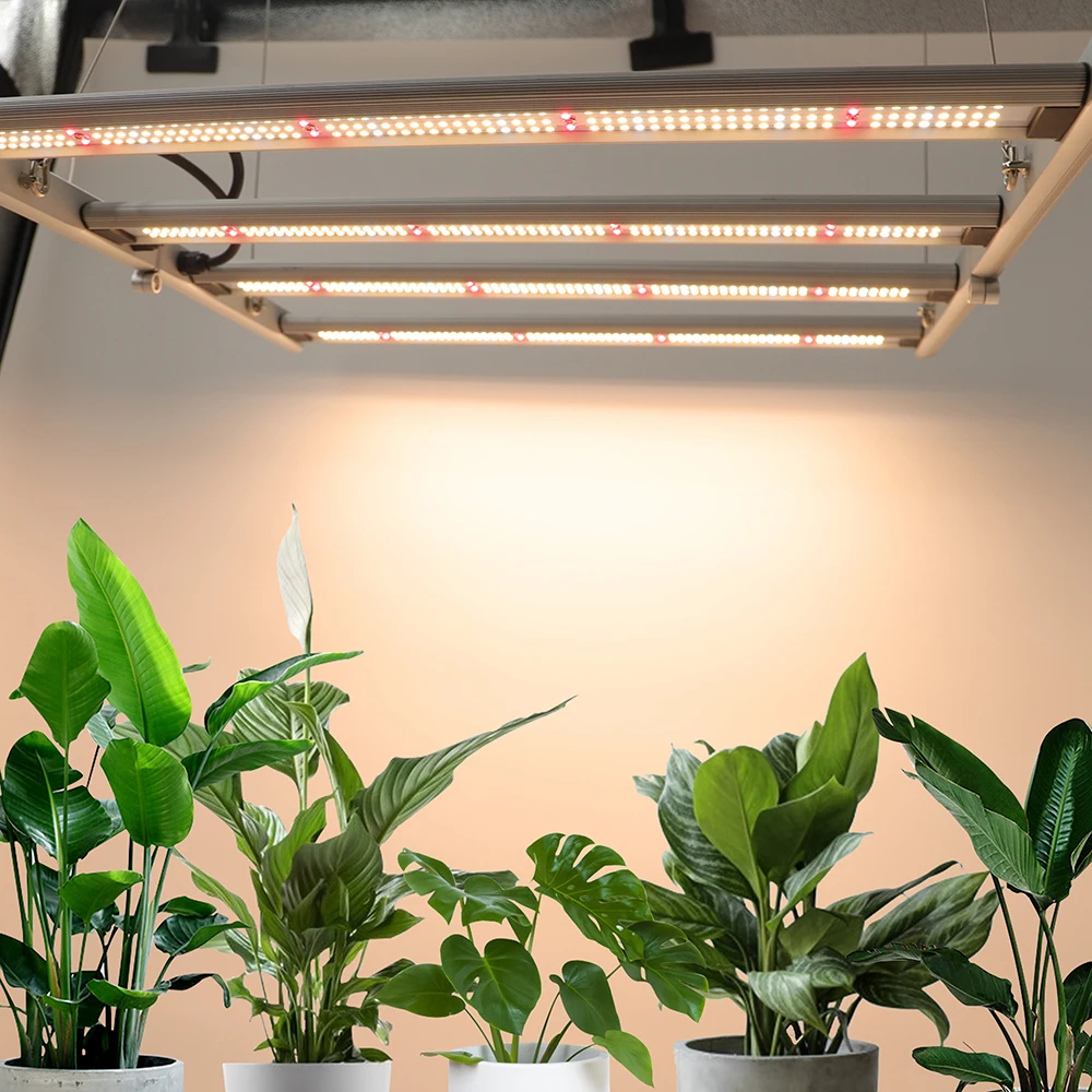 300W Original CREE CXB3590 Grow Light CREE CXB 3590 3500K COB Led Grow Light with highest PPFD For Hypodronics Growing System