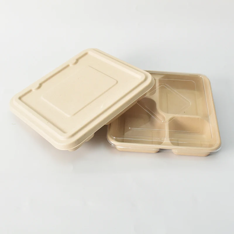 Disposable Paper Sugarcane  Food  Containers Ecofriendly Brownies Heat Seal Take  Away  Lunch Box