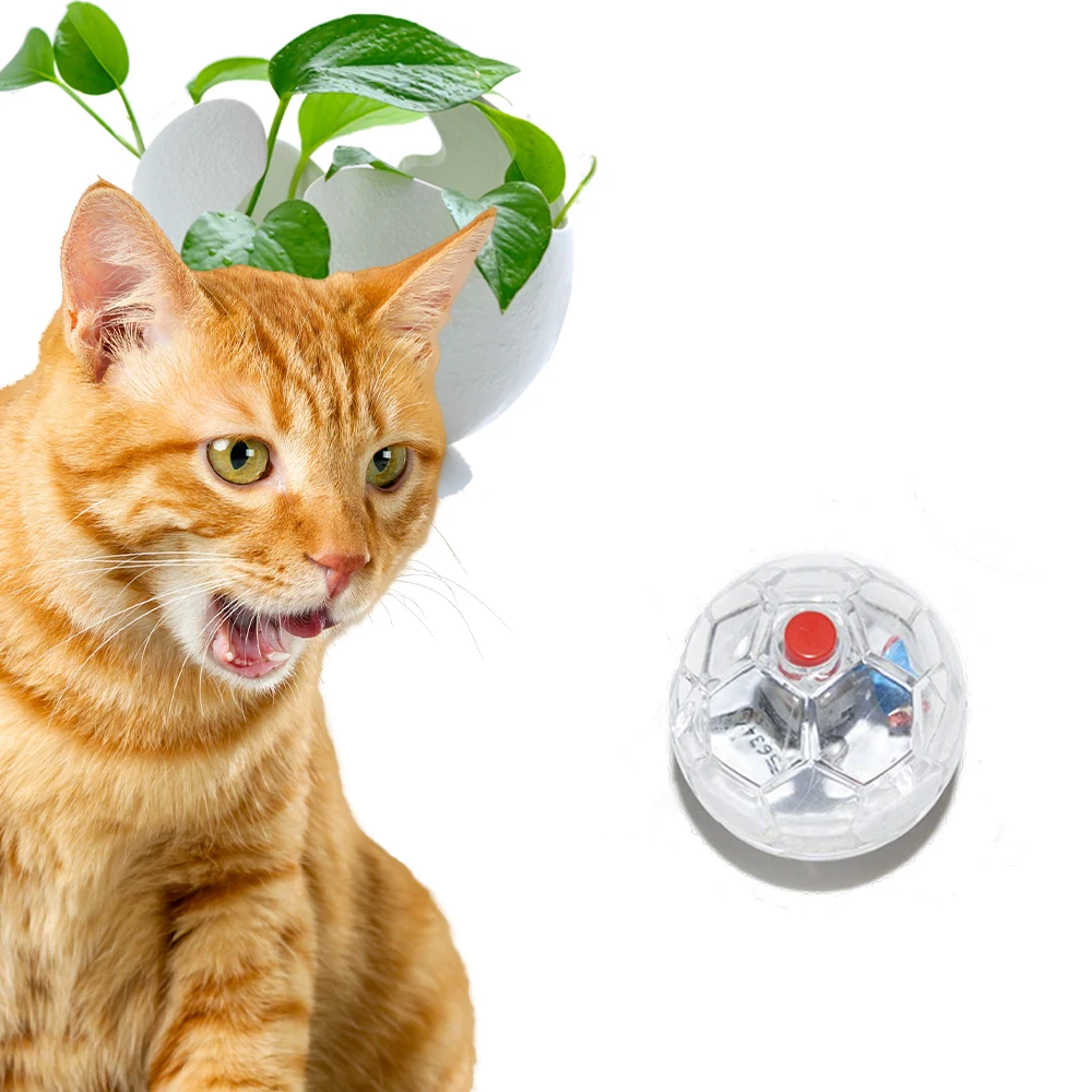 
2020 New Design Transparent Plastic Interaction Flashing Electronic Cat Ball with Button 