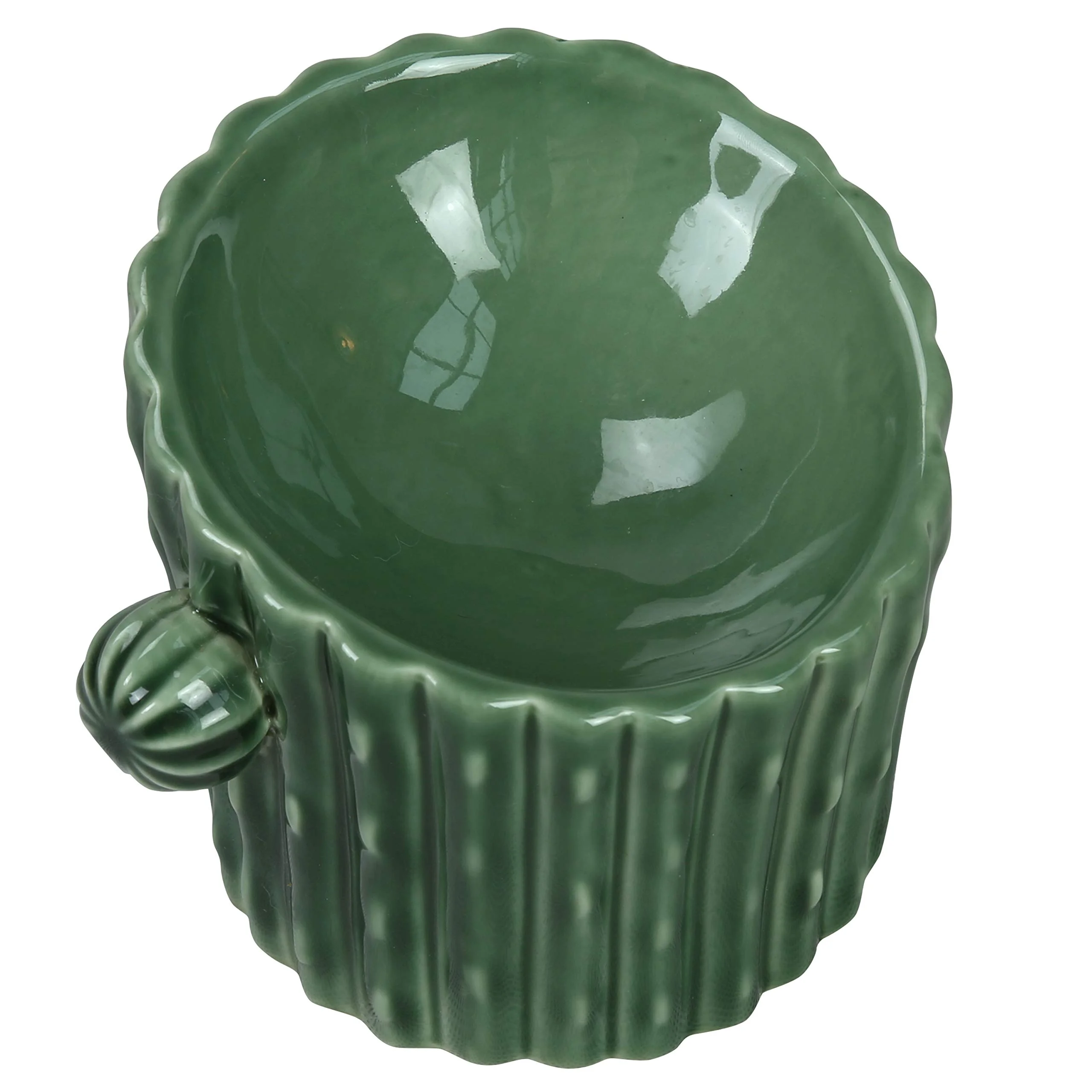 Cactus Cat and Dog Raised Food Bowl Elevated Ceramic Pet Bowls Tilted for Flat Faced Cats Small Dogs.