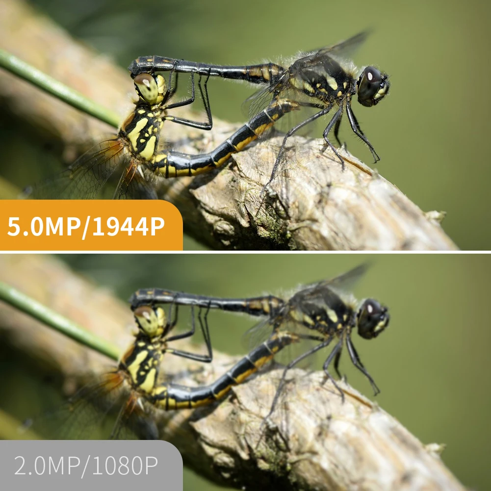 Autofocus endoscopic borescope camera equipment 5mp endoscope camera industrial automobile air conditioning evaporator borescope