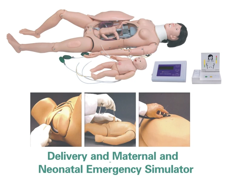 Advanced Full-functional Elderly Whole Body Nursing Simulation Manikin