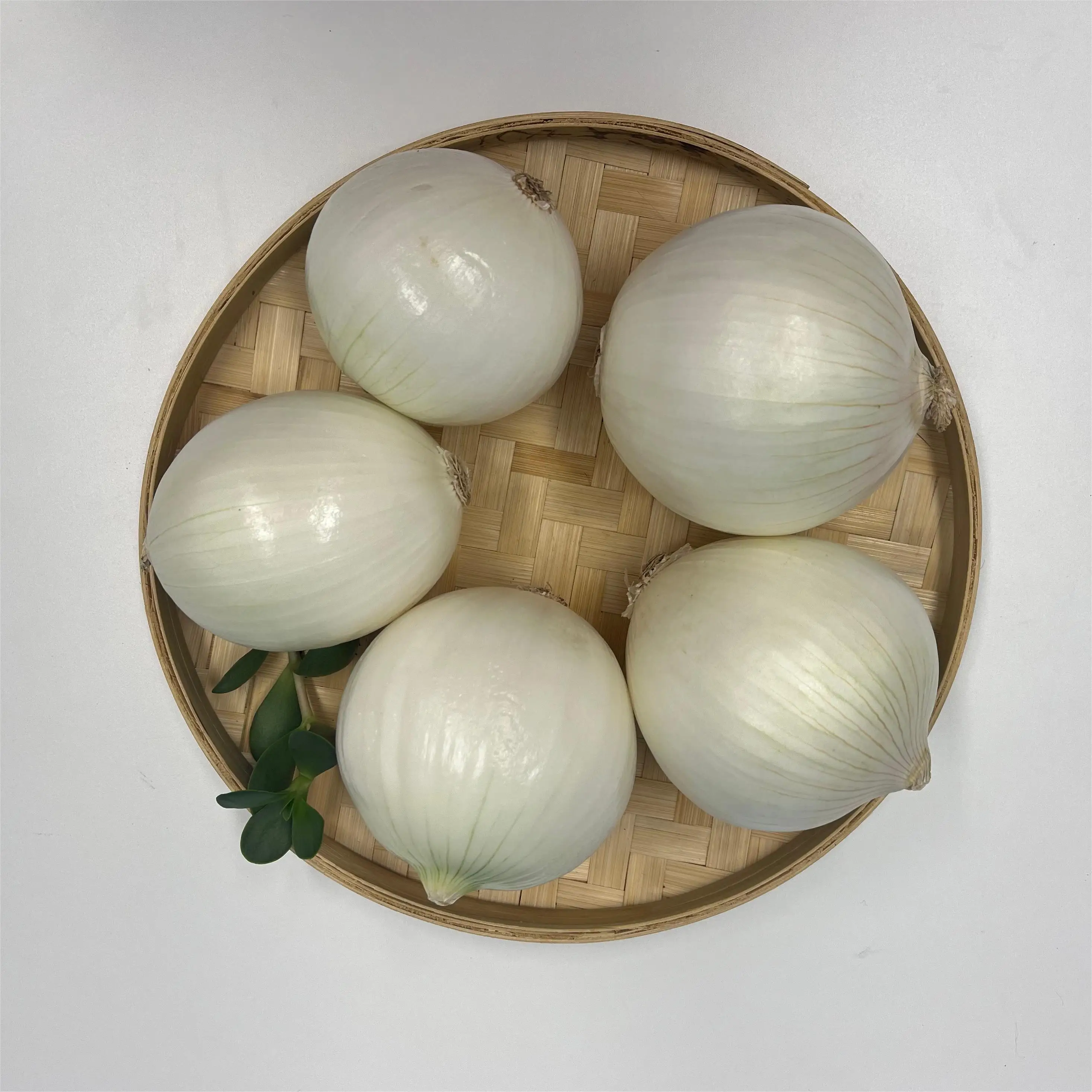 Fresh Onion Bulk Newest Crop high quality Professional Export Fresh Onion Wholesale