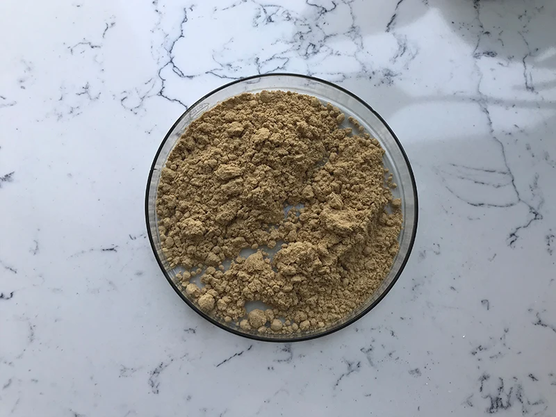 Best Price Buy Bacillus Subtilis Powder