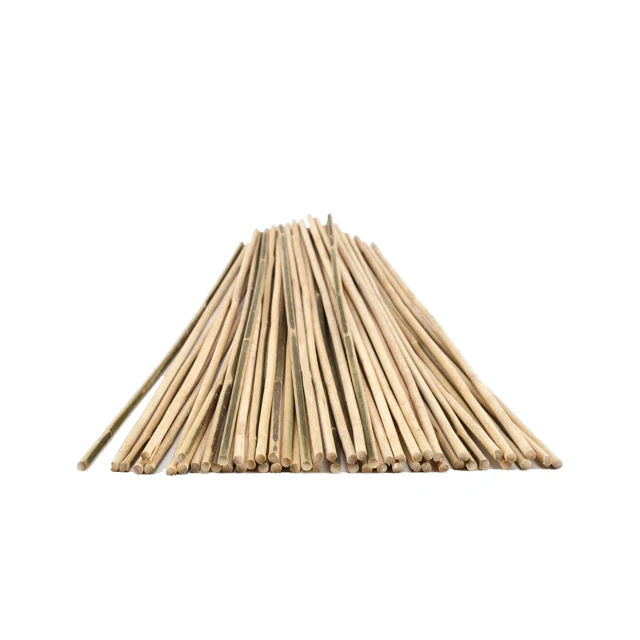 Large Bamboo Stick Natural Thick Strong Heavy Duty Professional Garden Tonkin Flower Sticks