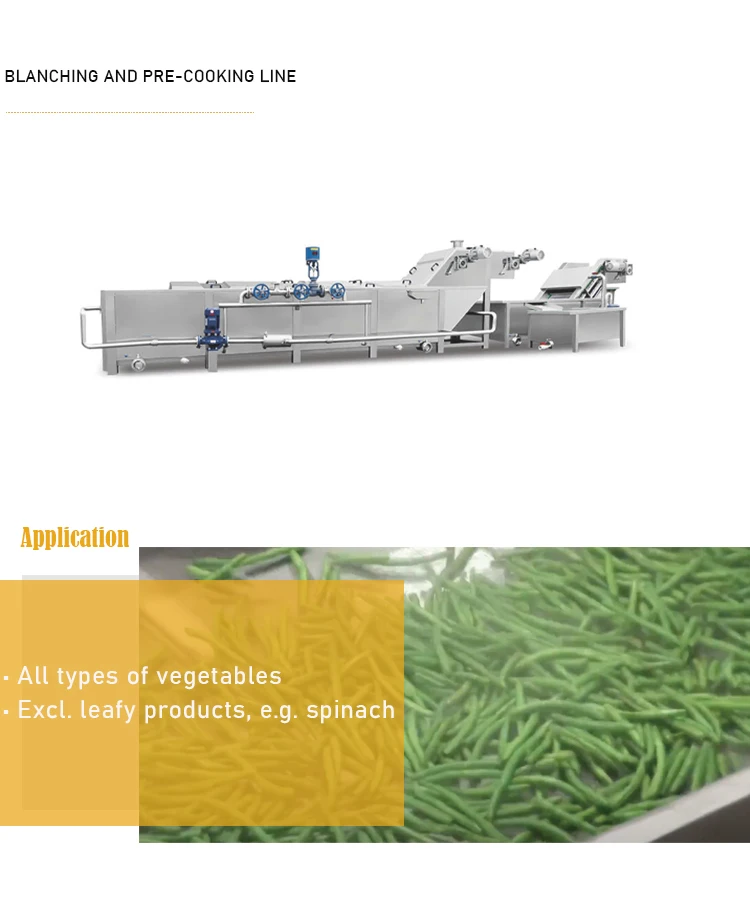 blanching equipment