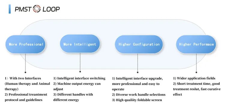 Pmst Loop Pulsed Electromagnetic Magnetic Wave Field Therapy Mat Pemf Equipo De Fisioterapia Para Aliviar El Dolor