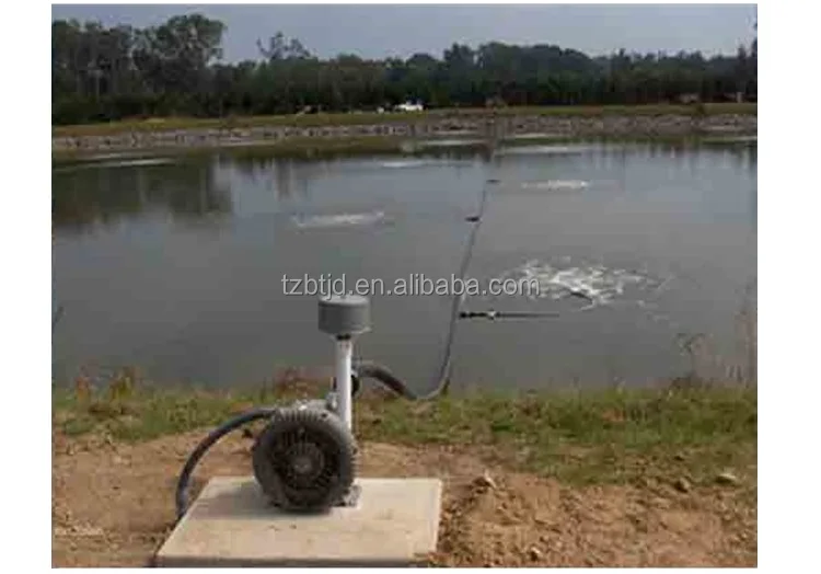 blower for fish pond