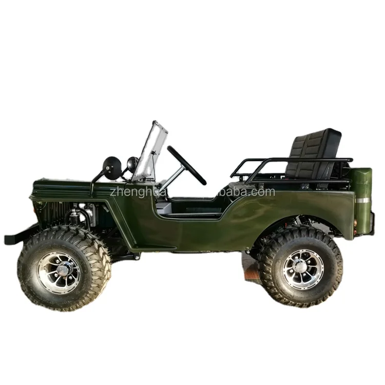 Factory Supply Attractive Price 500W ATV UTV Electric Mini Buggy