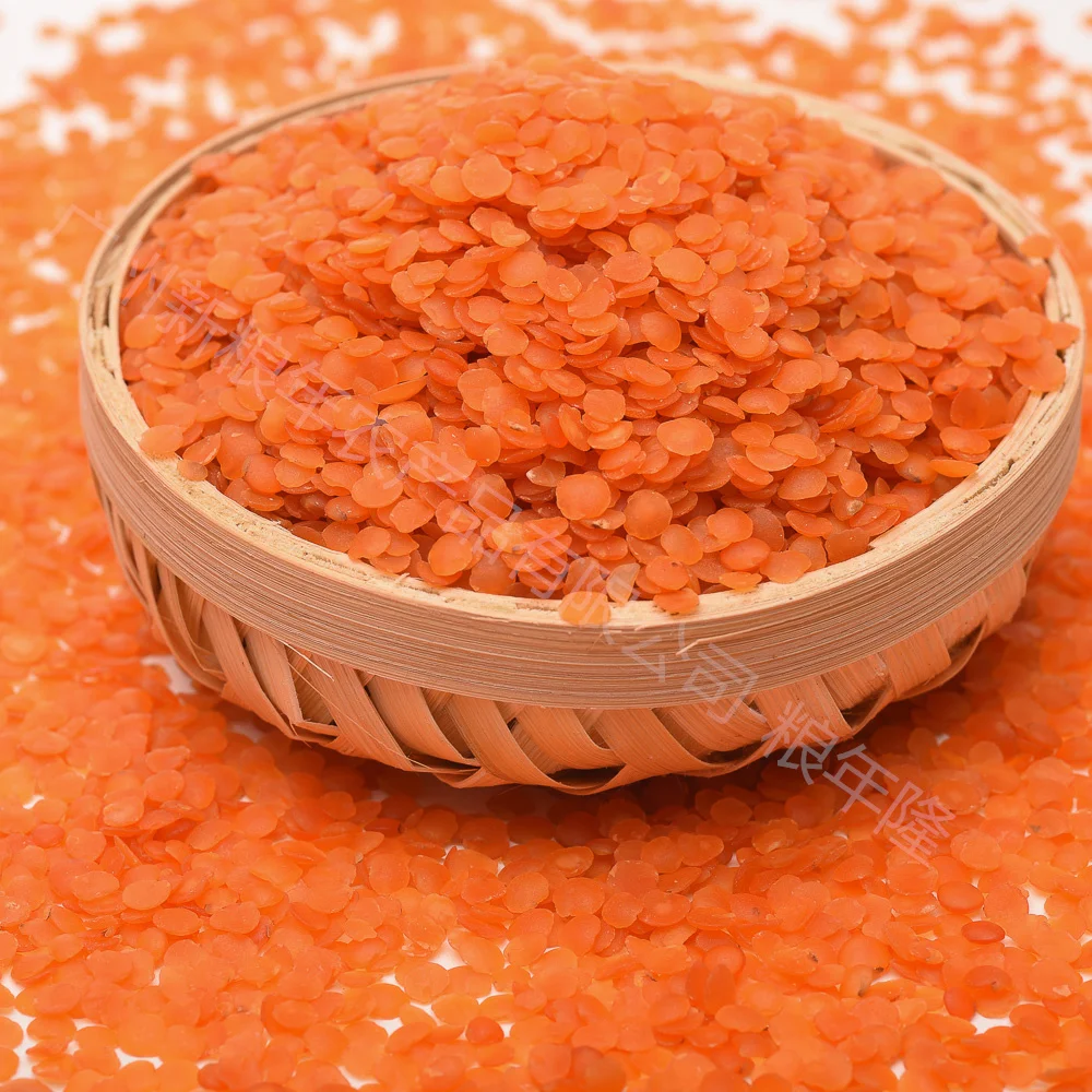 Factory Sale Hot Seller red split lentils No impurities red lentils split red lentils