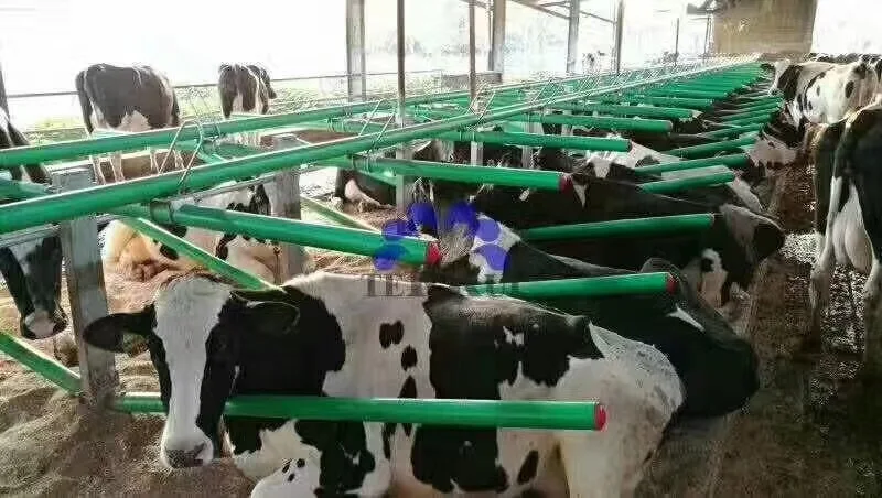  Преимущества для коров пластиковая свободная корова внутренняя толщина 5 мм ПВХ соединяемая трубка стойка