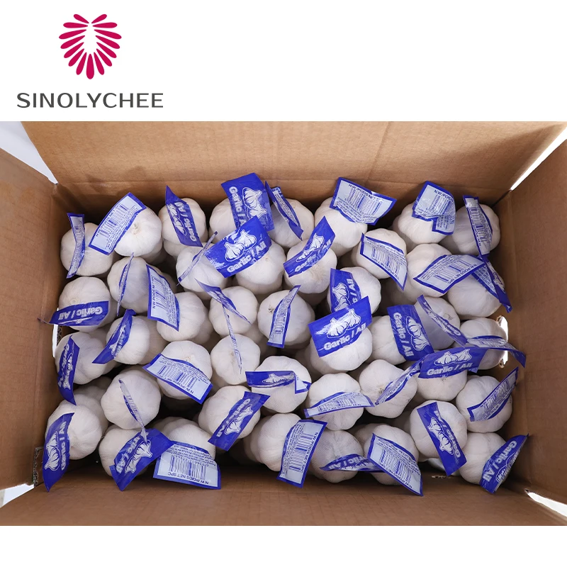 Cold Storage Fresh Garlic Producers Latest Garlic Crop Wholesale Whole Garlic 3p 4p 5p 6p
