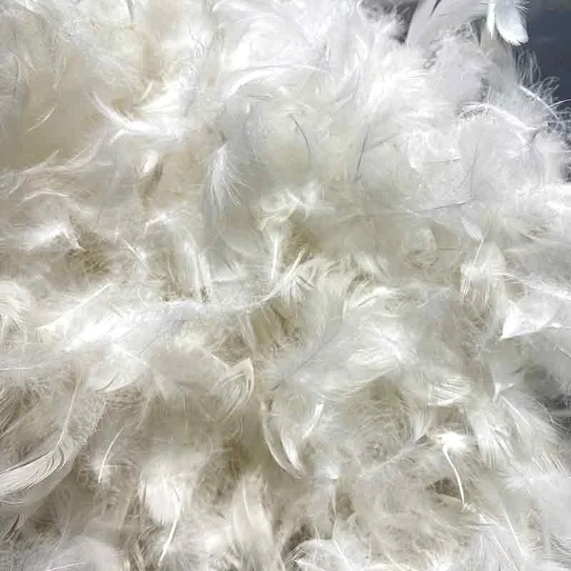 Multi-channel Washing Process to Wash Pure White Natural White Duck  Feather for Cheap Sale