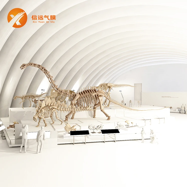 Air rib membrane mobile venue  Air rib membrane exhibition hall Inflatable dome Inflatable structure