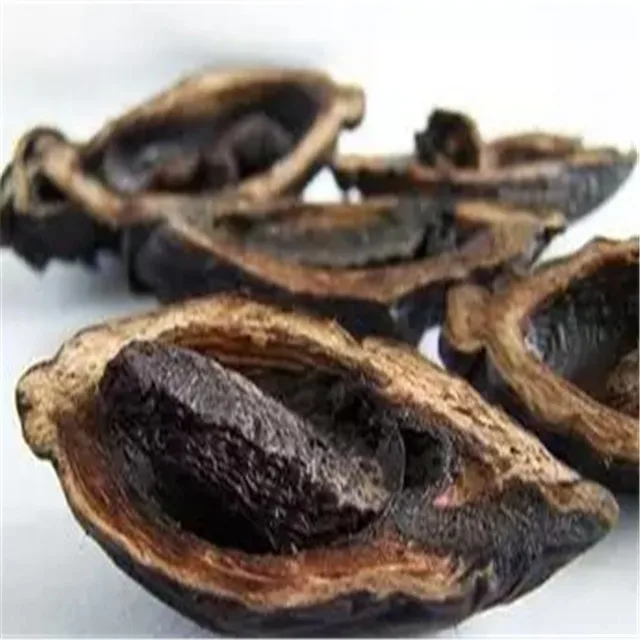 Betel Nut - Arecanut