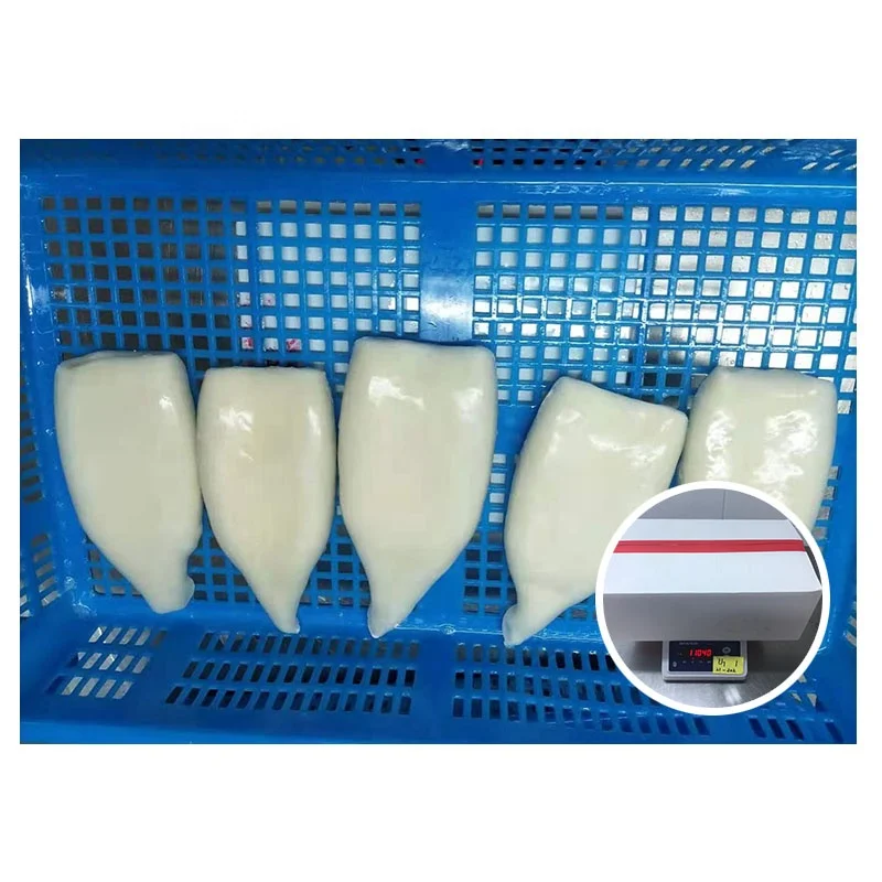 Factory Price Supplier Cleaned Illex  U10 Frozen Squid Tube