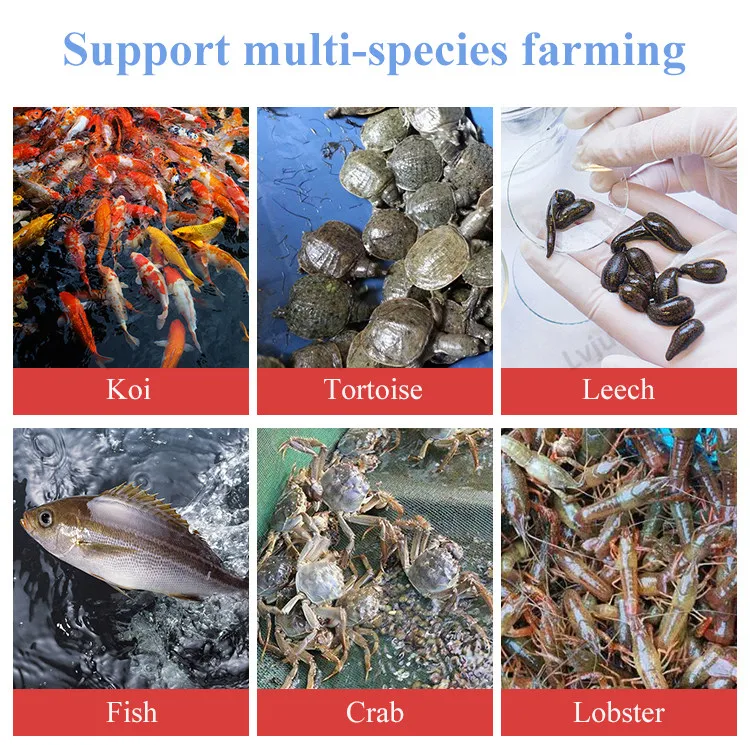 LVJU Custom Size 3000 Liter Guangdong PVC Tarpaulin Fish Breeding Tank Pond Liner For Cat Fish/Tilapia/Shrimp