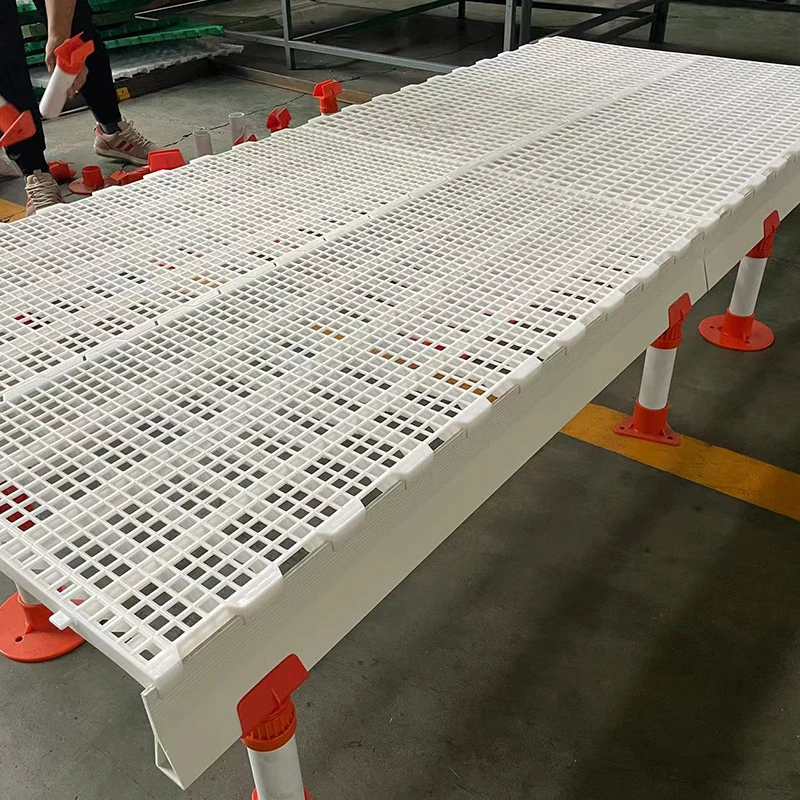 Customized 1200*500*40mm Animal Husbandry Equipment Poultry Breeding Pp Plastic Slat Floor For Broiler Goat Farm