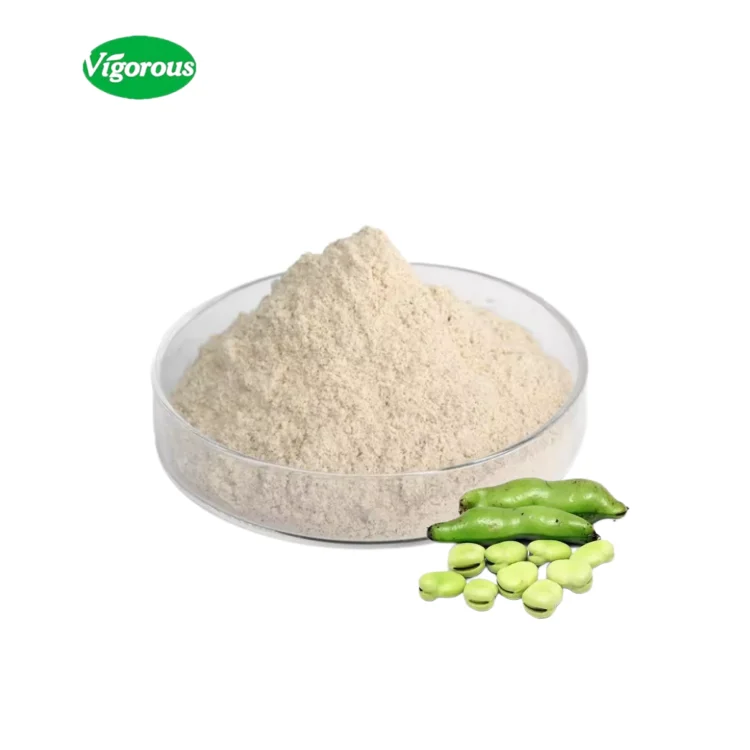 10:1 Fava Bean Protein Extract Fava Beans Extract Broad Bean Extract
