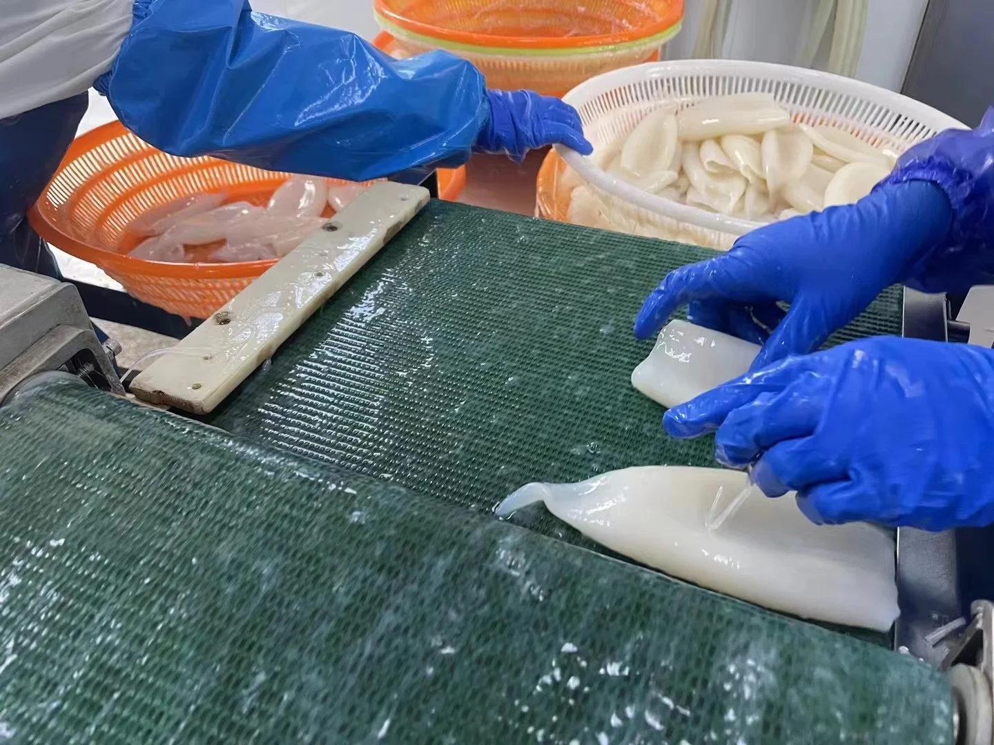 squid ring skin off Squid processing squid ring good quality without  skin