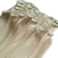 blonde clip in extensionis.jpg