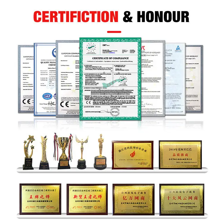 Bison Manufacturers 2.4Gpm 210 Cc 180 Bar 2600 Psi Ohv Engine High Pressure Washer For Car Cleaning