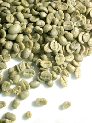 VIETNAM ROBUSTA COFFEE GREEN BEANS UNROASTED S16 WASHED NEW CROP 2023 2024 WHOLESALE LOW PRICE FACTORY HANFIMEX 0084374074818