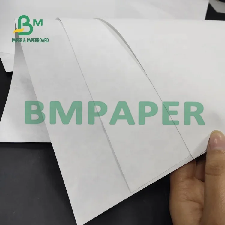 787mm Width Coated White 1025D Tyvek Paper  For HP Cannon Inkjet Printer