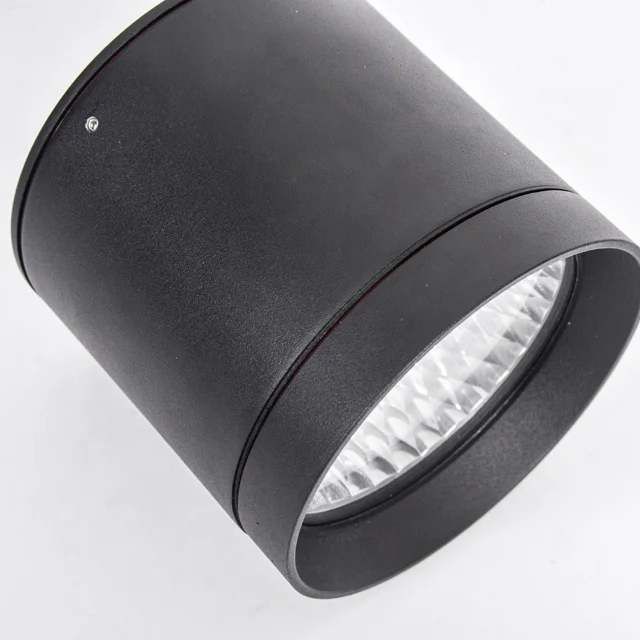 10-20W IP65 Die Cast Aluminum Outdoor Ceiling Surface Mounted LED Down Light