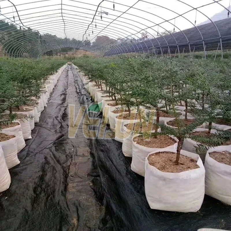 Grow bag plant/seedling bag/nursery bag non woven for orchard