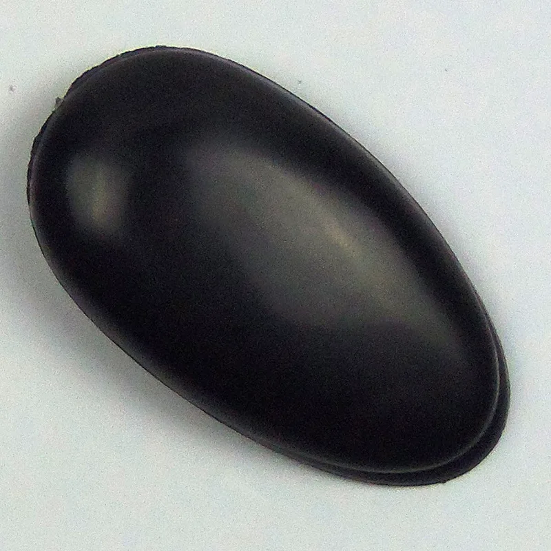 hair Salon Accessories Plastic Hair Coloring Shield Ear Protector for Hair Dyeing Ear Covers